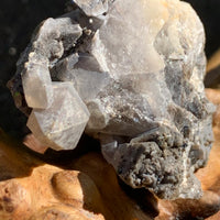 close up view of tiny brookite crystals and a smokey quartz point in the cluster sitting on driftwood for display