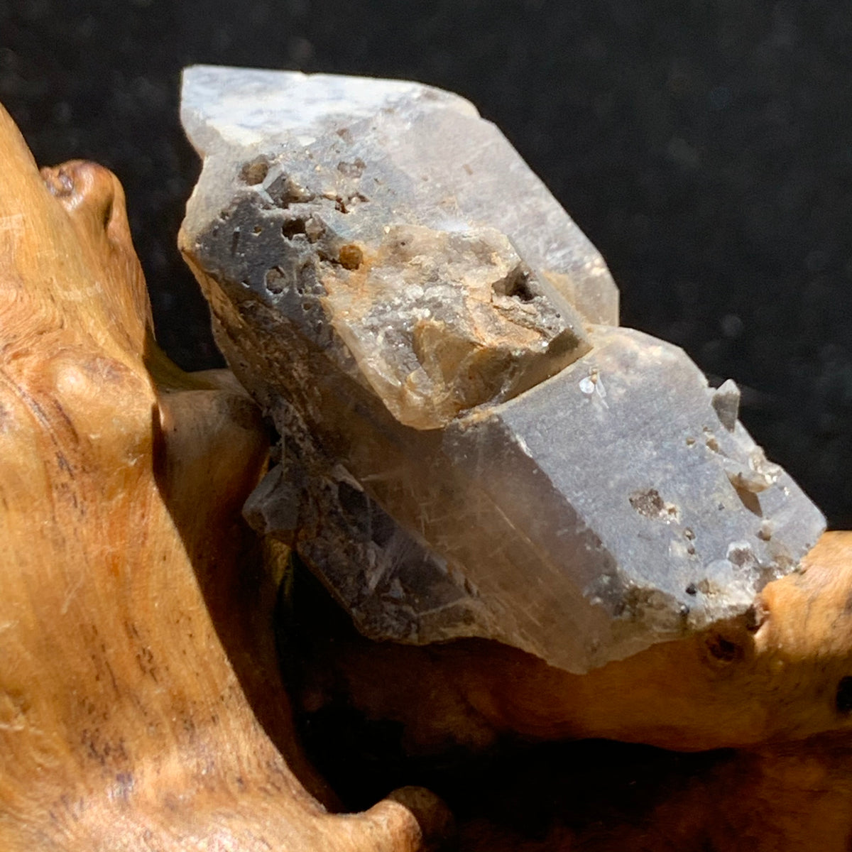 tiny brookite crystals on a smokey quartz point sitting on driftwood for displaysmokey quartz point with brookite crystals on it sitting on driftwood for display