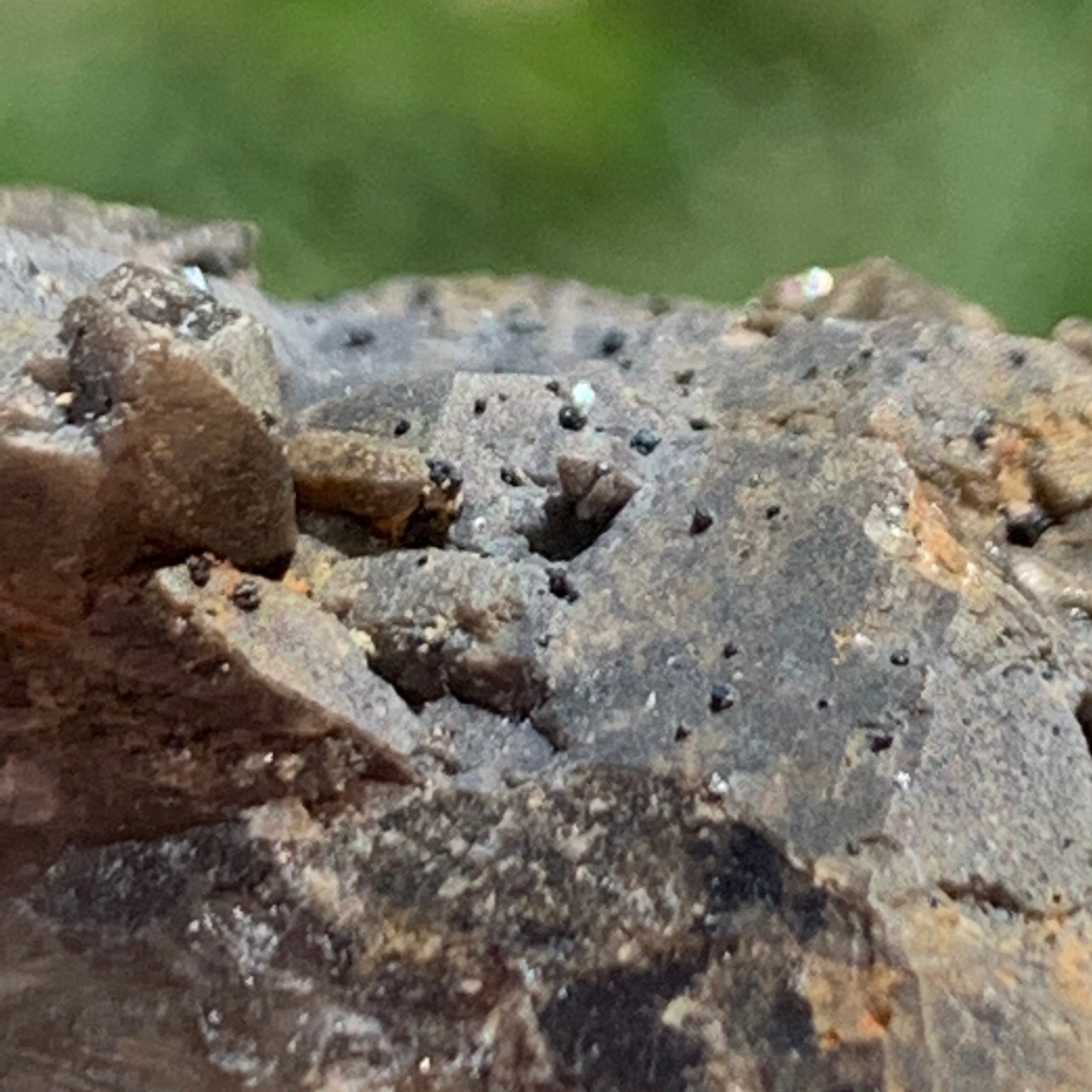 close up view of tiny brookite crystals on a smokey quartz point