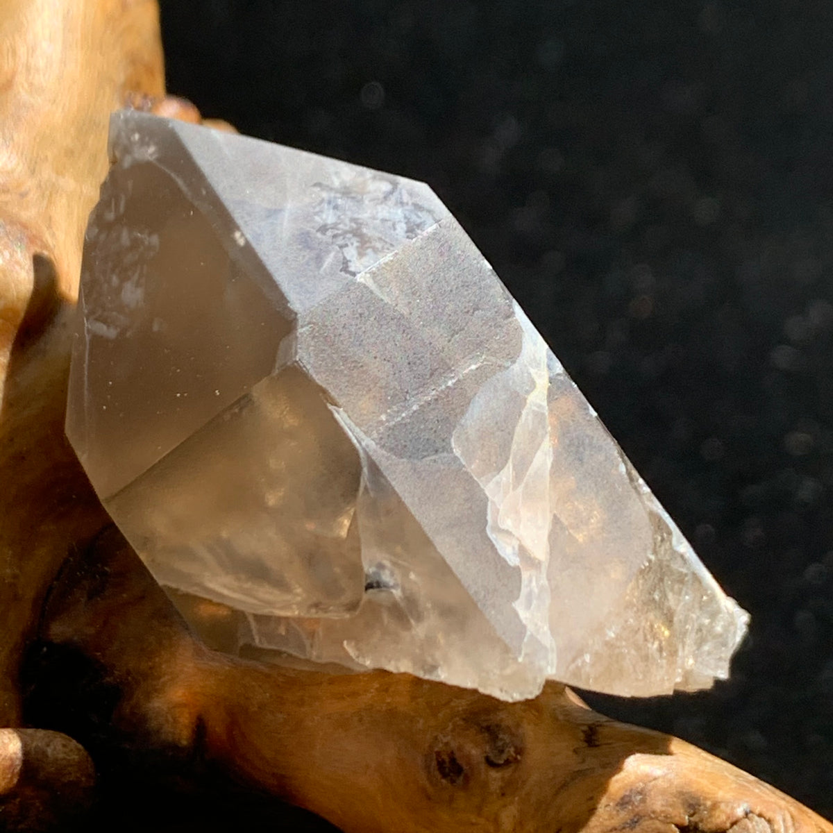 tiny brookite crystals on a smokey quartz point sitting on driftwood for display