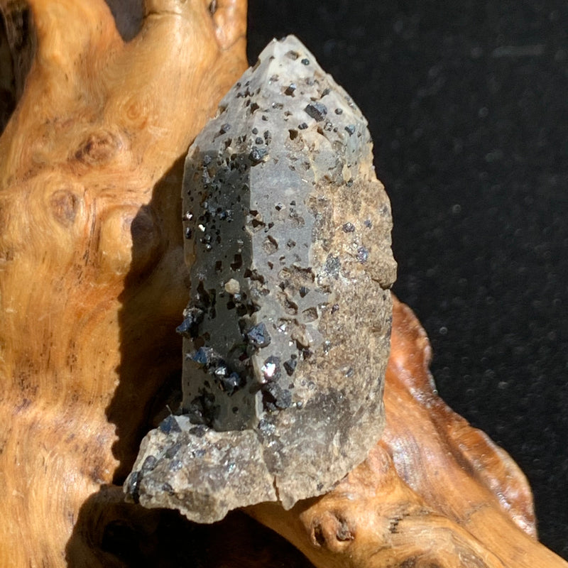 small and tiny brookite crystals on a smokey quartz point sitting on driftwood for display