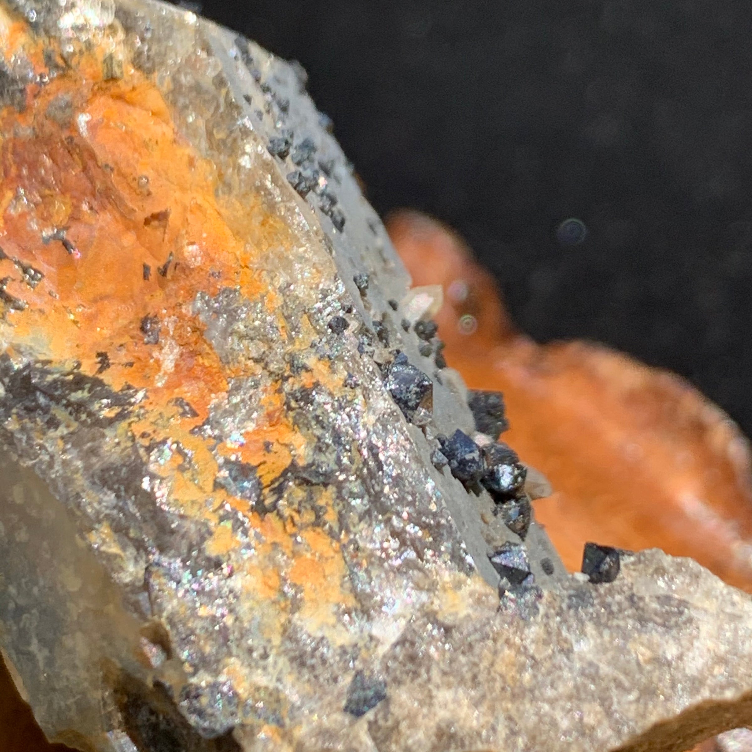 close up view of small and tiny brookite crystals on a smokey quartz point sitting on driftwood for display