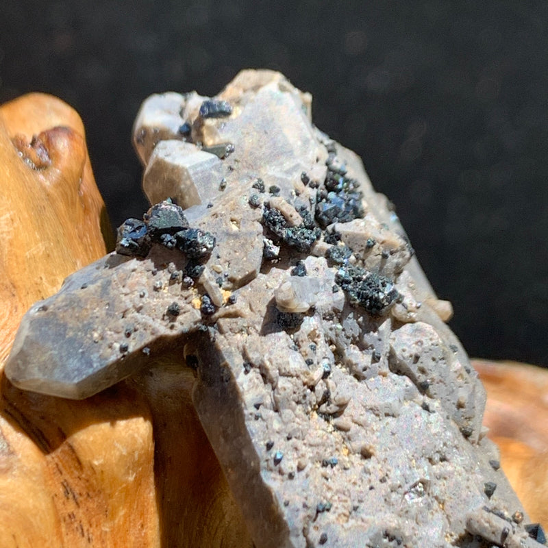 close up view of small and tiny brookite crystals on a smokey quartz point cluster sitting on driftwood for display