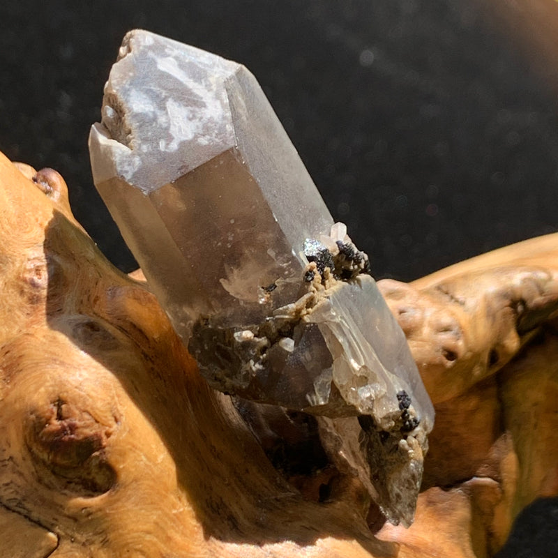 medium, small, and tiny brookite crystals on a smokey quartz point sitting on driftwood for display