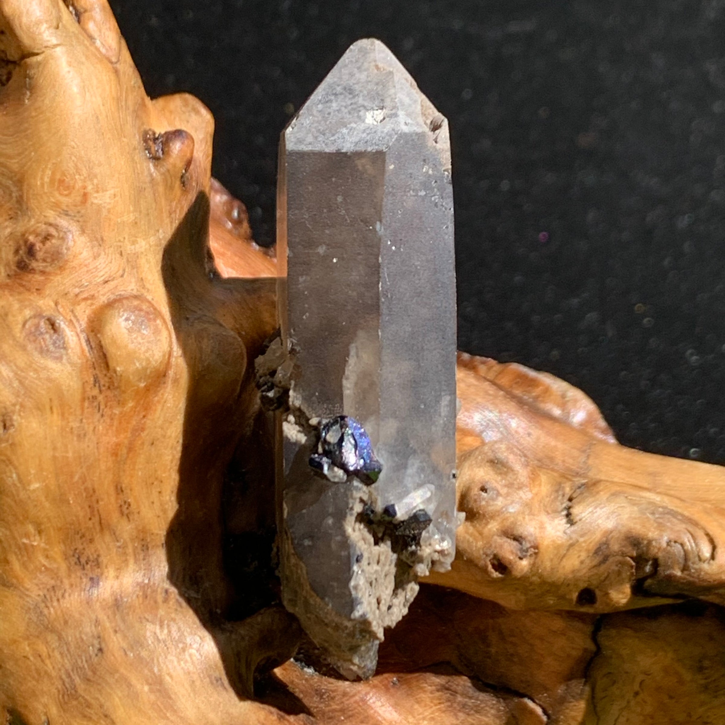 medium, small, and tiny brookite crystals on a smokey quartz point sitting on driftwood for display