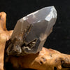 small and tiny brookite crystals on a smokey quartz point sitting on driftwood for display