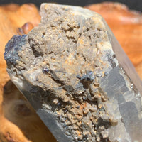 close up view of medium, small, and tiny brookite crystals on a smokey quartz cluster sitting on driftwood for display