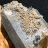 close up view of medium, small, and tiny brookite crystals on a smokey quartz cluster sitting on driftwood for display