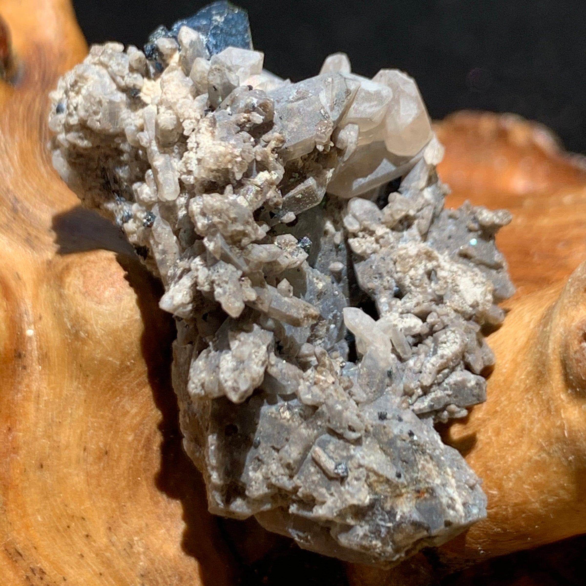 medium and tiny brookite crystals on a smokey quartz cluster sitting on driftwood for display
