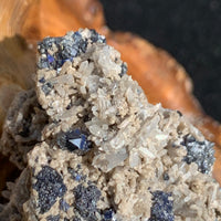close up view of large and small brookite crystals on a smokey quartz cluster sitting on driftwood for display