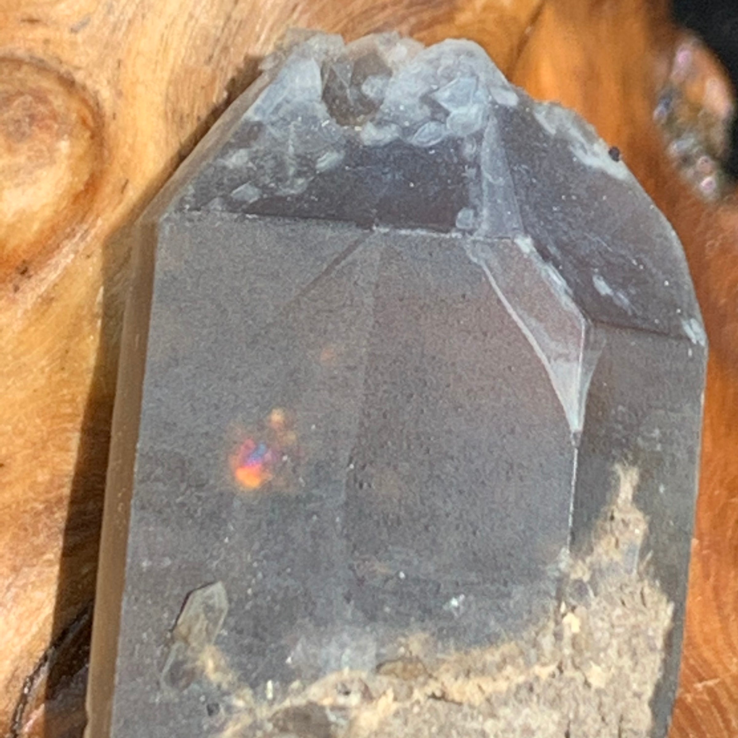 smokey quartz point showing a rainbow refraction inside of it sitting on driftwood for display