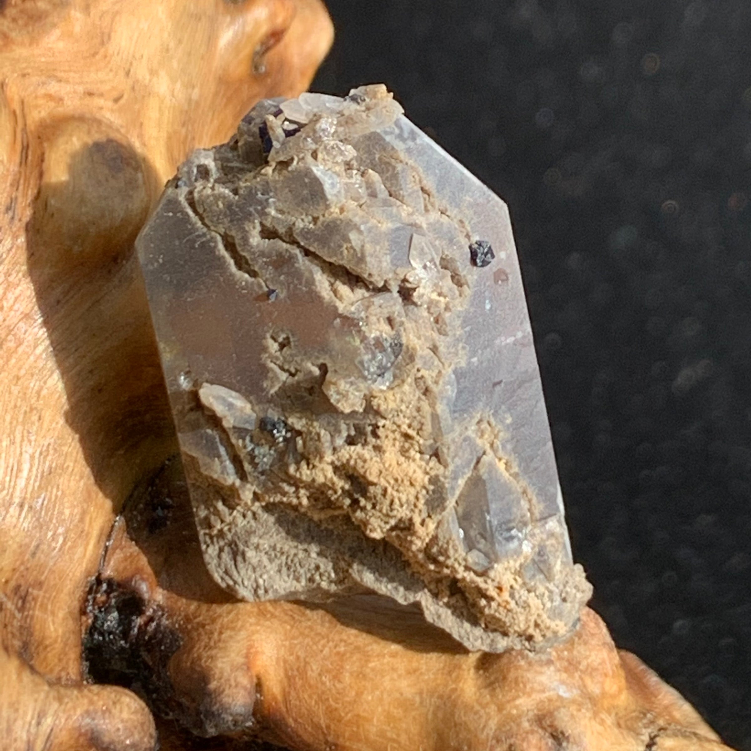 tiny brookite crystals on a smokey quartz point sitting on driftwood for display