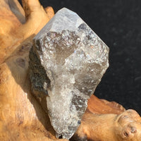 medium and tiny brookite crystals on a smokey quartz point sitting on driftwood for display