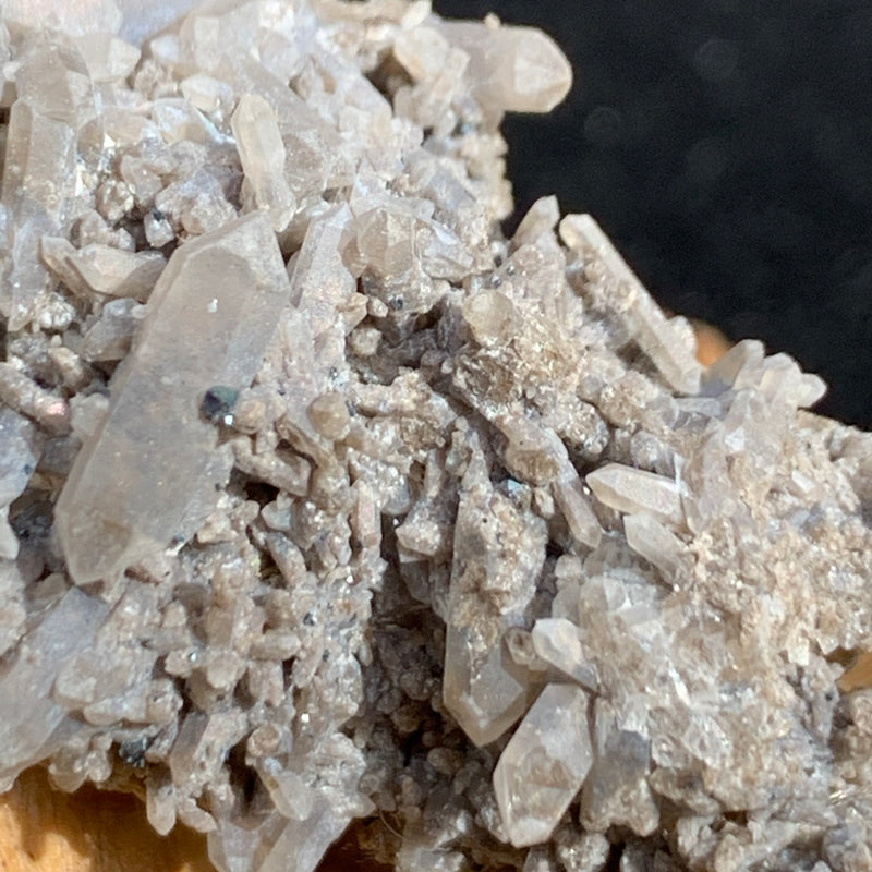 close up view of tiny brookite crystals in a smokey quartz cluster sitting on driftwood for display