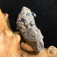 big and small brookite crystals on a smokey quartz point sitting on driftwood for display