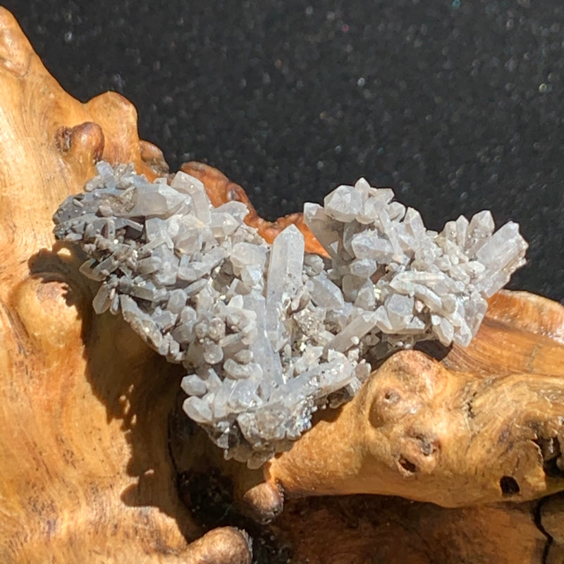 tiny brookite crystals on a smokey quartz point cluster sitting on driftwood for display