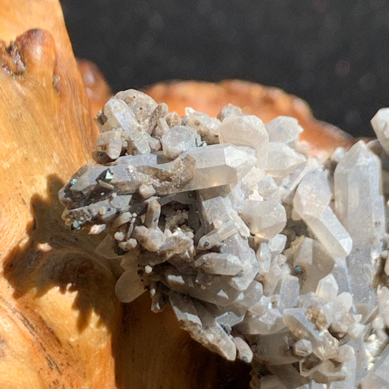 close up view of tiny brookite crystals on a smokey quartz point cluster sitting on driftwood for display