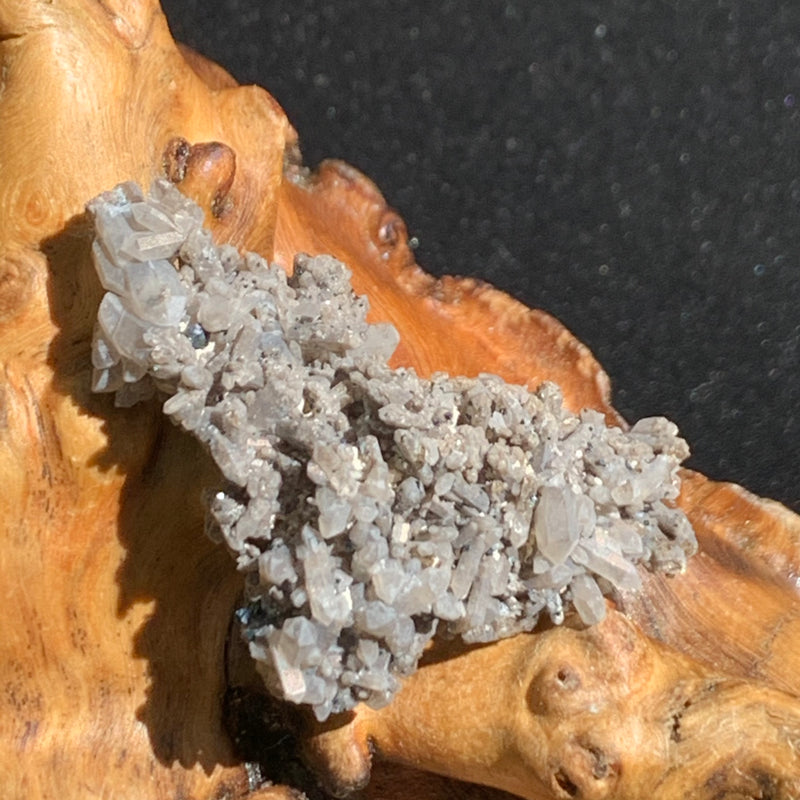 tiny brookite crystals on a smokey quartz point cluster sitting on driftwood for display