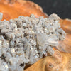 close up view of tiny brookite crystals on a smokey quartz point cluster sitting on driftwood for display