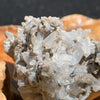 close up view of tiny brookite crystals on a smokey quartz cluster sitting on driftwood for display