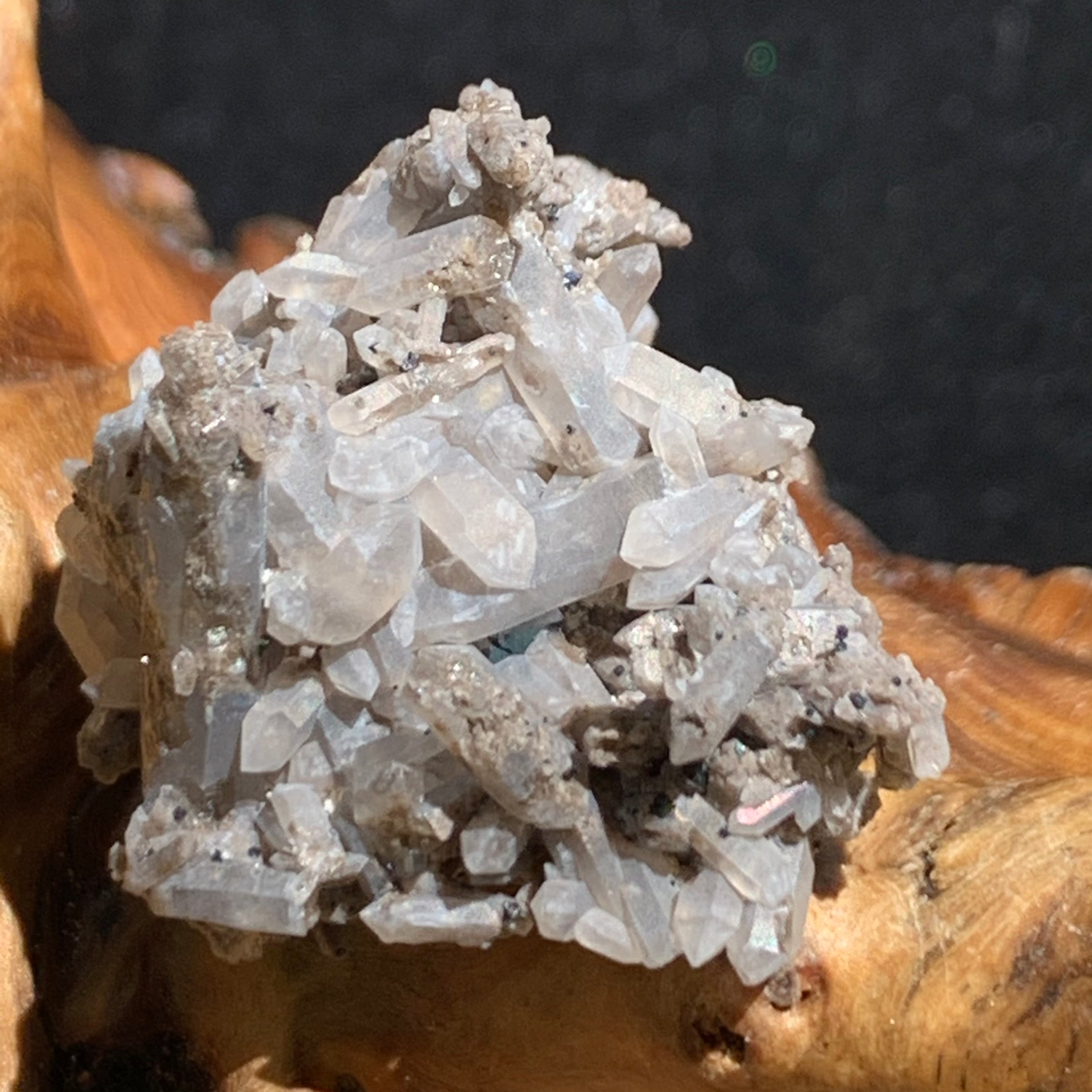 tiny brookite crystals on a smokey quartz cluster sitting on driftwood for display