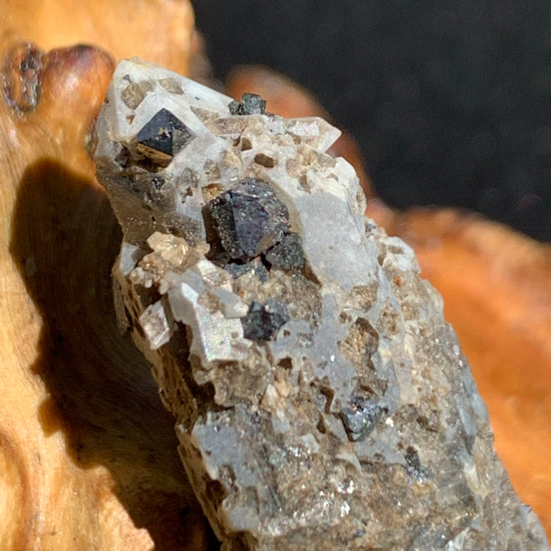 close up view of small brookite crystals on a smokey quartz point sitting on driftwood for display