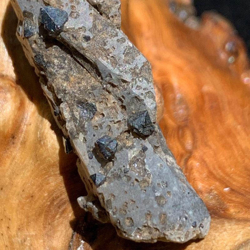 close up view of small brookite crystals on a smokey quartz point sitting on driftwood for display