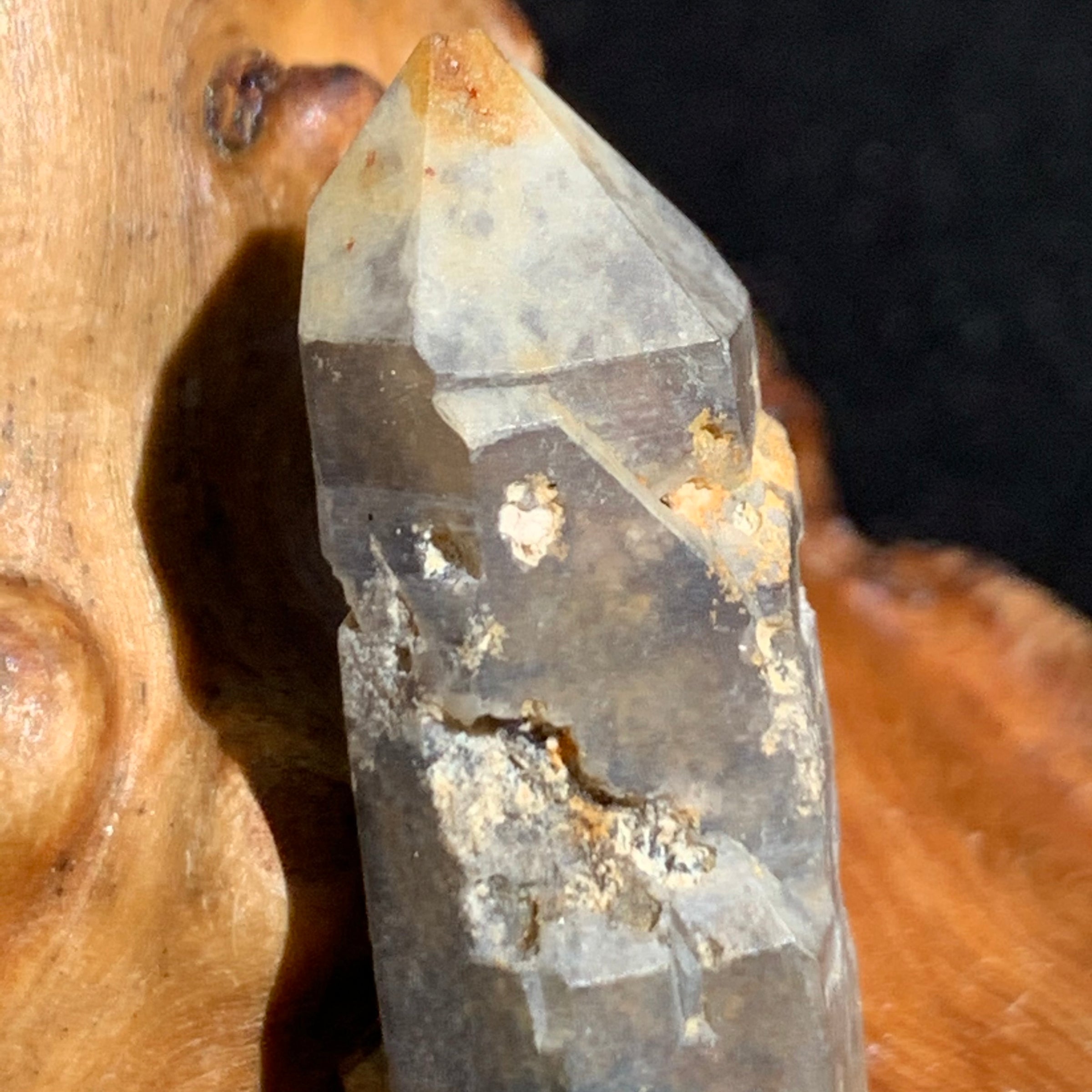 close up view of a smokey quartz point sitting on driftwood for display