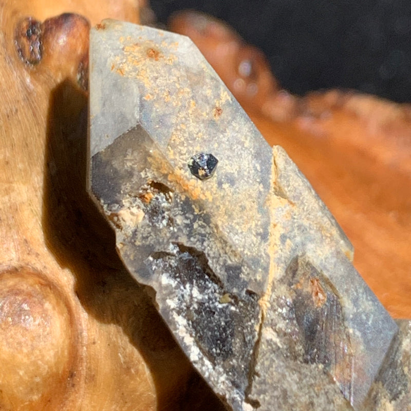 close up view of tiny brookite crystal on a smokey quartz point sitting on driftwood for display