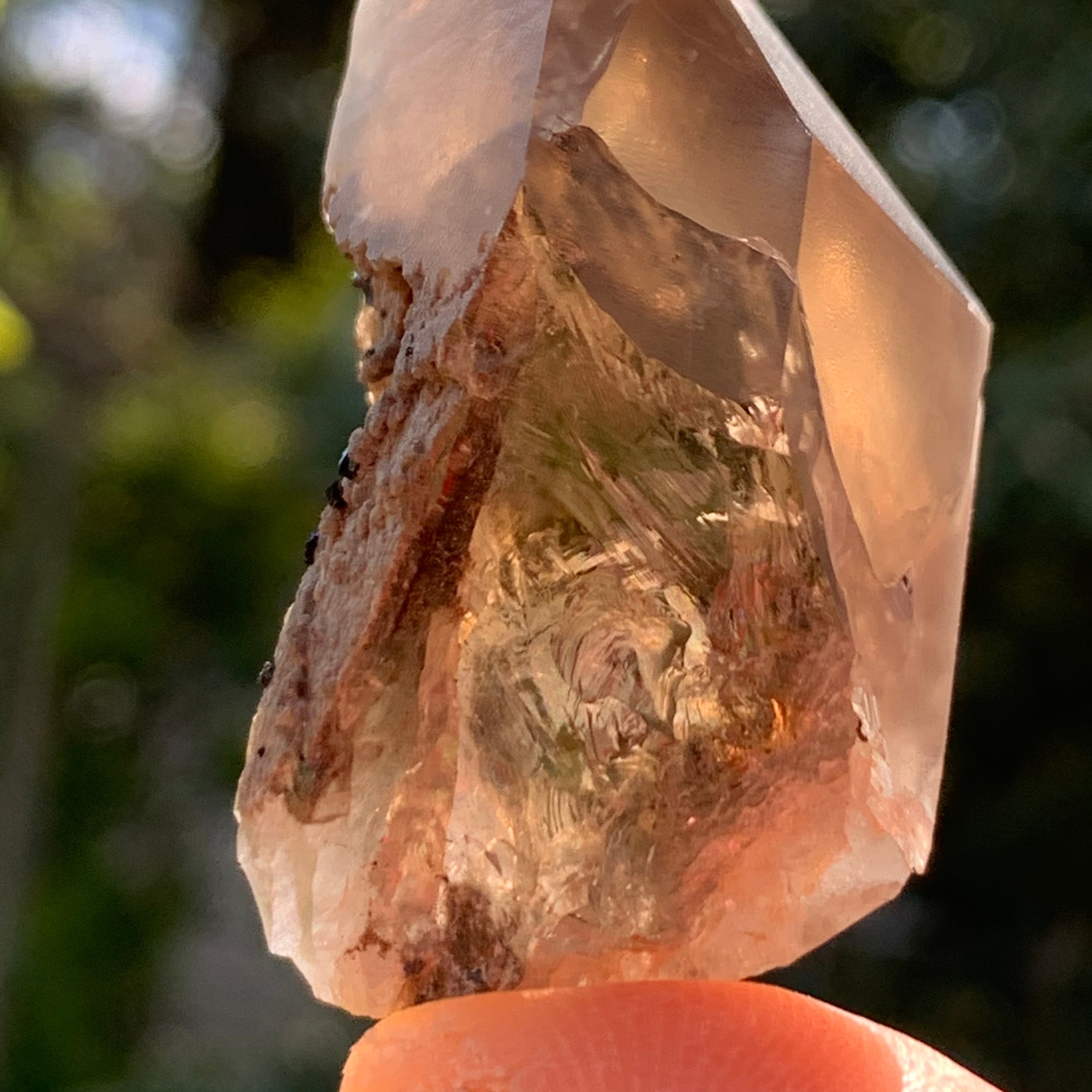 tiny brookite crystals on a smokey quartz point held up in hand with sunlight shining through