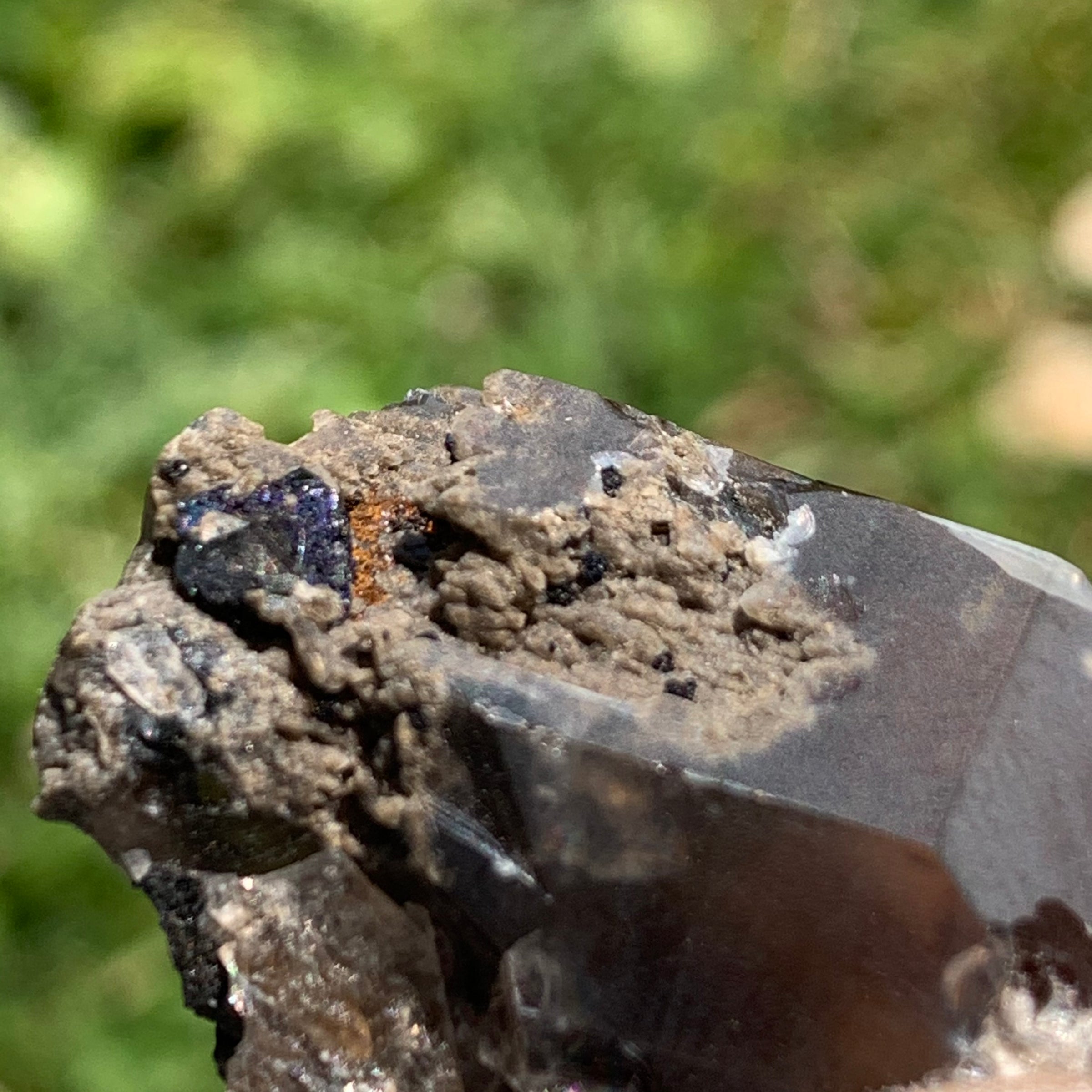 small and tiny brookite crystals on a smokey quartz point held in hand against a grassy backrgound