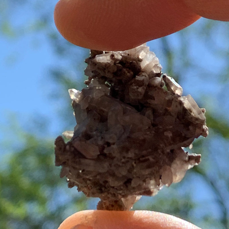 tiny brookite crystals on a smokey quartz cluster held in hand up to the sky with some sunlight shining through