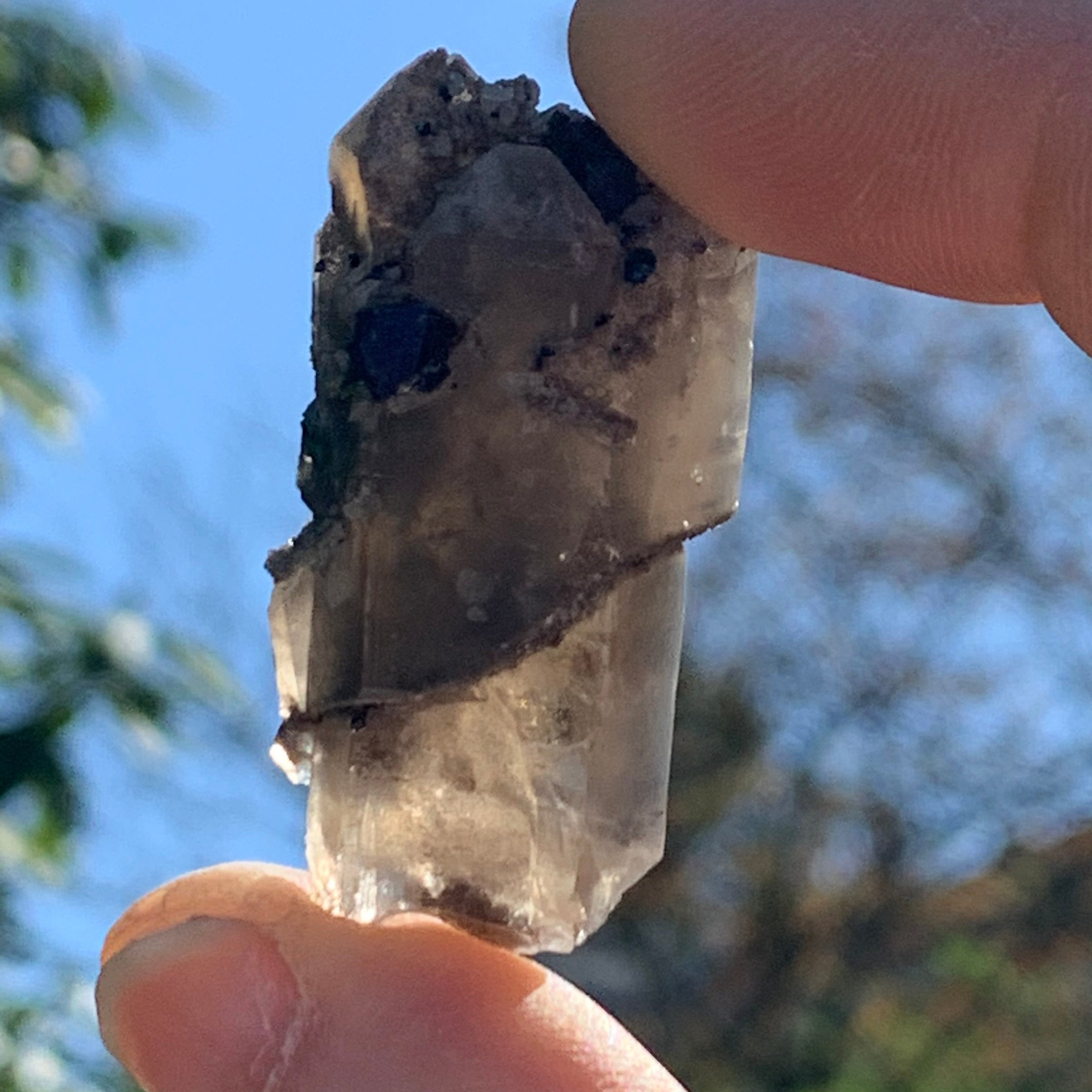 medium and tiny brookite crystals on a triple pointed smokey quartz held in hand up to the sky