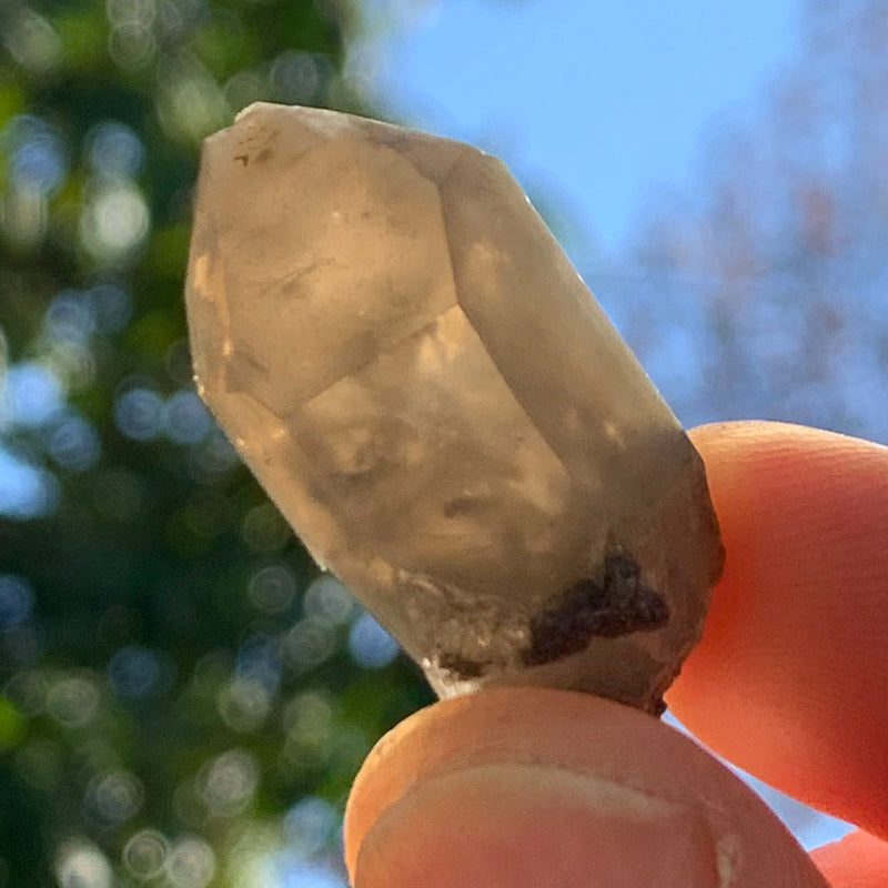 tiny brookite crystals on a terminated smokey quartz crystal being held in hand up to the sky