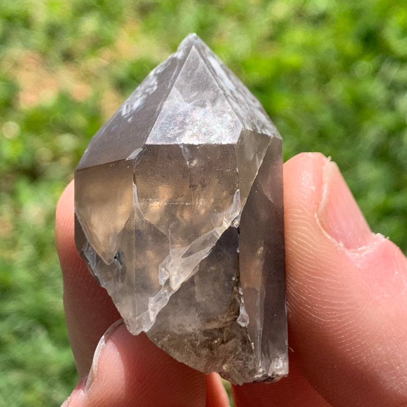 tiny brookite crystals on a smokey quartz point held in hand in front of grassy background