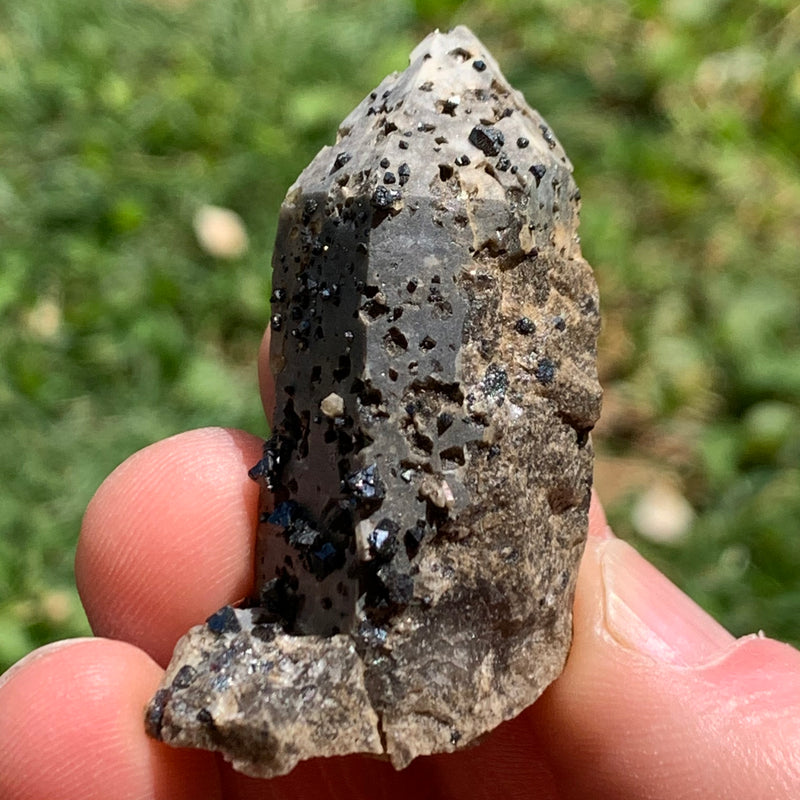 small and tiny brookite crystals on a smokey quartz point held in hand in front of grassy background