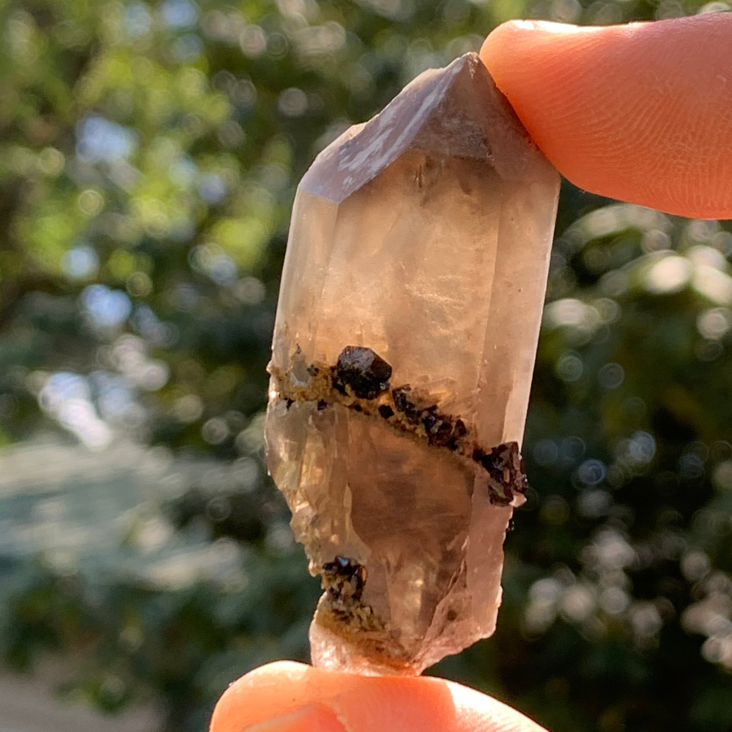 medium, small, and tiny brookite crystals on a smokey quartz point held in hand with sunlight shining through