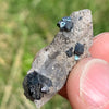 big and small brookite crystals on a smokey quartz point held in hand with sun shining on it against a grassy background