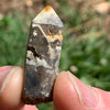 tiny brookite crystal on a smokey quartz point sitting on driftwood for display held in hand with sunlight shining on it