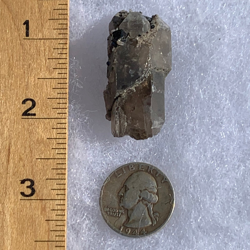 medium and tiny brookite crystals on a triple pointed smokey quartz next to a ruler and a quarter for scale