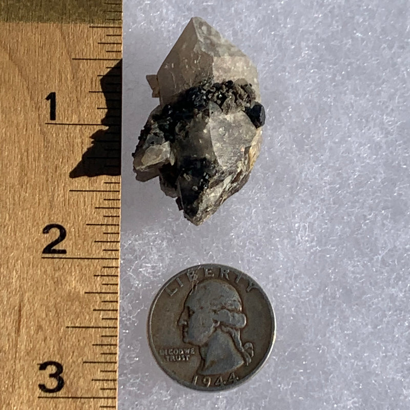 tiny, small, and medium brookite crystals on a smokey quartz point cluster next to a ruler and a quarter for scale