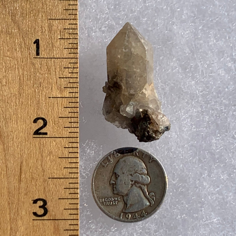 smokey quartz point cluster with tiny brookite on it next to a ruler and a quarter for scale