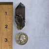 medium, small, and tiny brookite crystals on a smokey quartz point next to a ruler and a quarter for scale