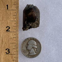 tiny brookite crystals on a smokey quartz point next to a ruler and a quarter for scale