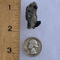 big and small brookite crystals on a smokey quartz point next to a ruler and a quarter for scale