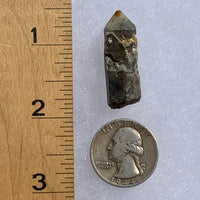 tiny brookite crystal on a smokey quartz point next to a ruler and a quarter for scale