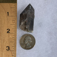 tiny brookite crystals on a smokey quartz point next to a ruler and a quarter for scale