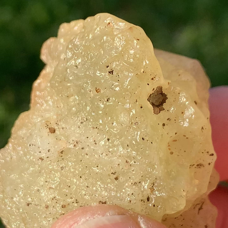 Raw Libyan Desert Glass 50.6 grams