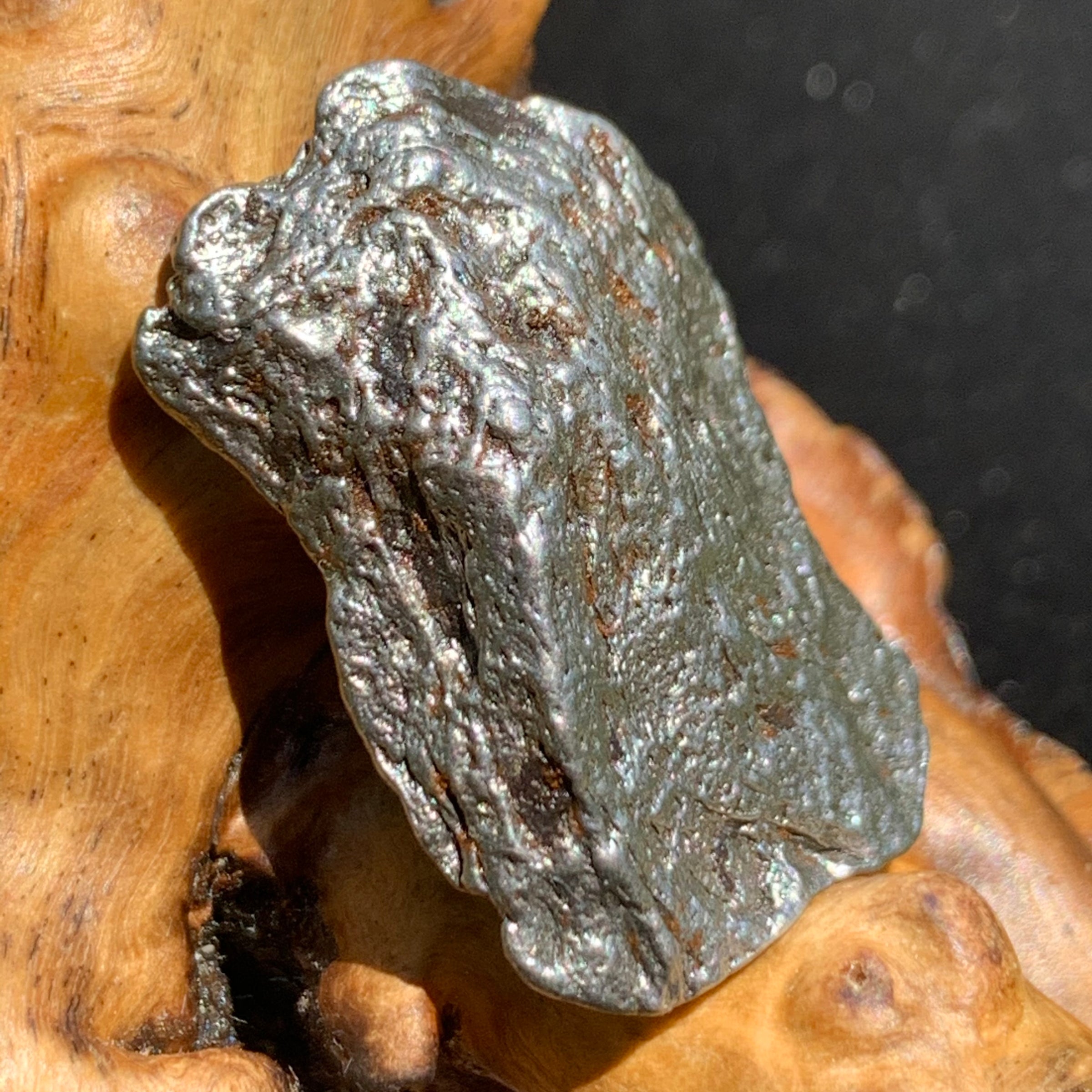 silver campo del cielo meteorite sitting on driftwood for display