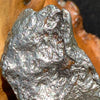 close up view of the silver campo del cielo meteorite sitting on driftwood for display